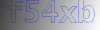 ֤